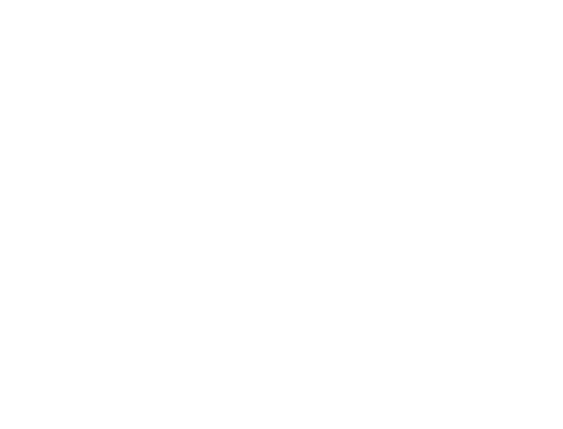 Big Lebowski